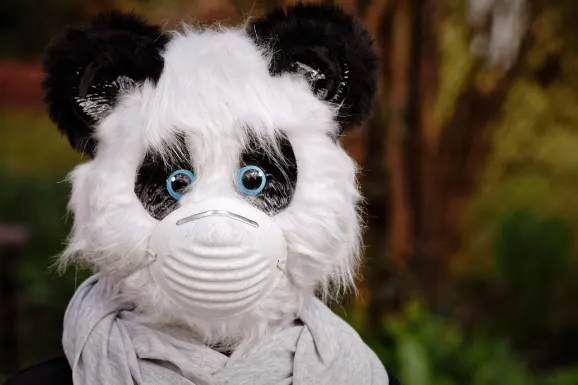 썬더볼트 카지노 지원